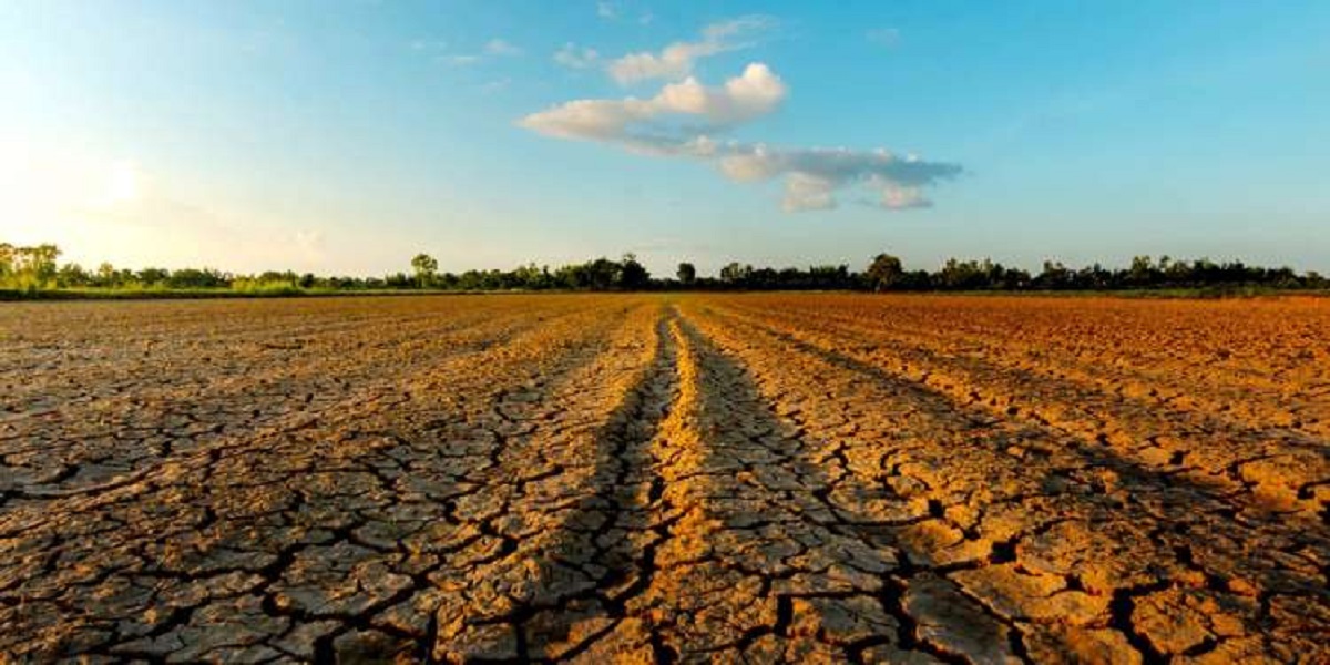 عضو اتحاد الفلاحة المكلف بالزراعات الكبرى لـ«الصباح»:   ندعو إلى التمديد في آجال مدة الاكتتاب في صندوق تعويض الأضرار الفلاحية